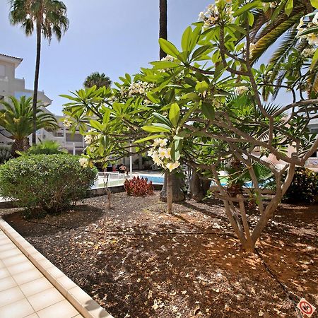 Breeze Island Apartment Chayofa Exterior foto