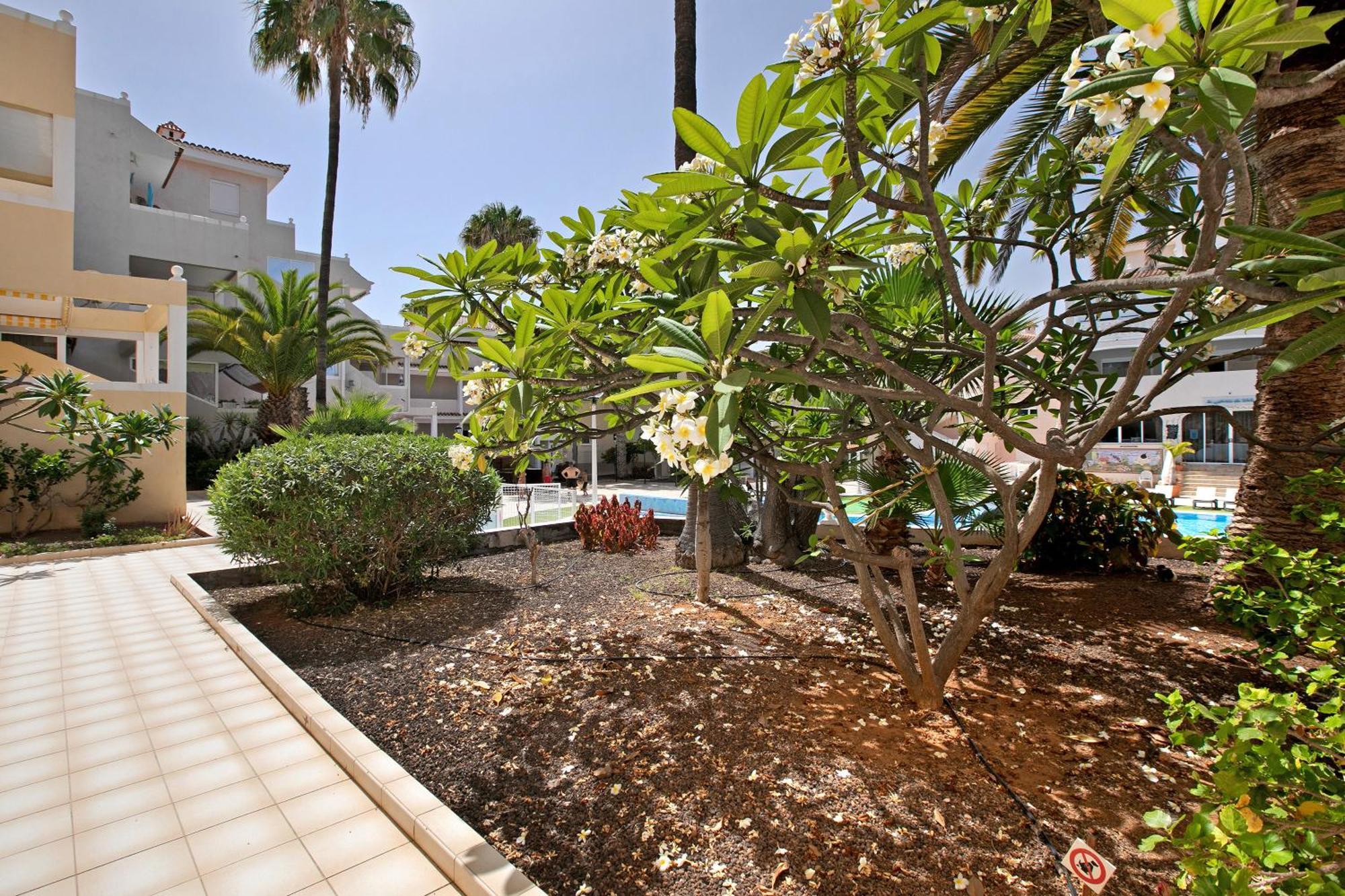 Breeze Island Apartment Chayofa Exterior foto